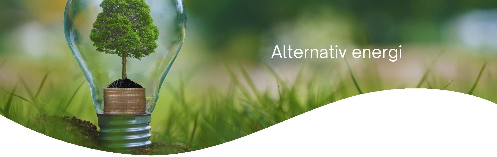 Alternativ energi